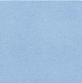 Comfort Colors Short Sleeve T-Shirt - Blank for Custom Embroidered Item