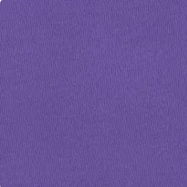Comfort Colors Long Sleeve Fleece Sweatshirt for Embroidered Items