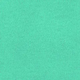 Comfort Colors Short Sleeve T-Shirt - Blank for Custom Embroidered Item